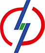 Regional Electric Networks JSC